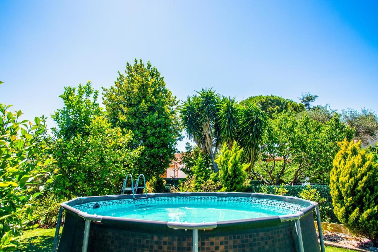 Villa Provence-Spa&Bbq Centre Au Calme- Jardin - Terrasses La Valette-du-Var Extérieur photo